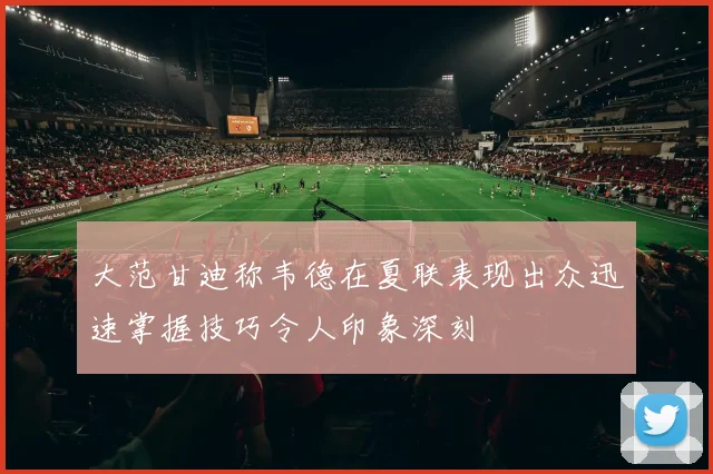 大范甘迪称韦德在夏联表现出众迅速掌握技巧令人印象深刻