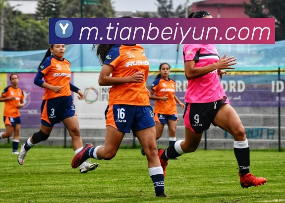 App Interface Preview