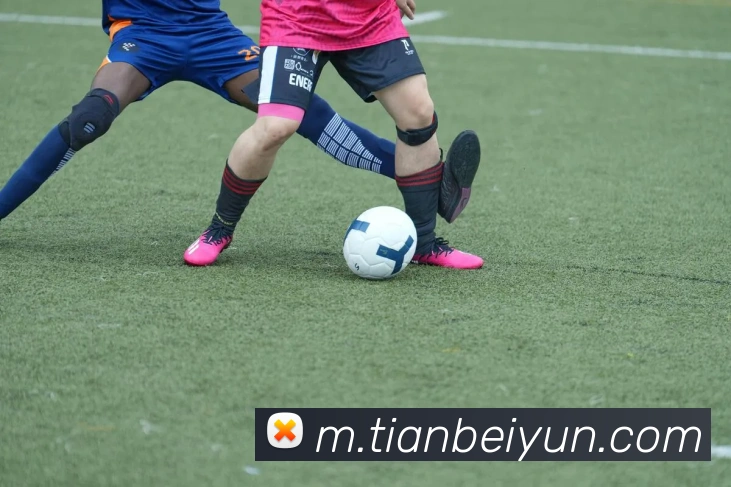 千亿买球APP 封面图